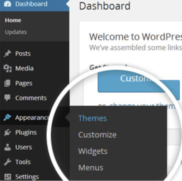 Themes Menu in WordPress Dashboard