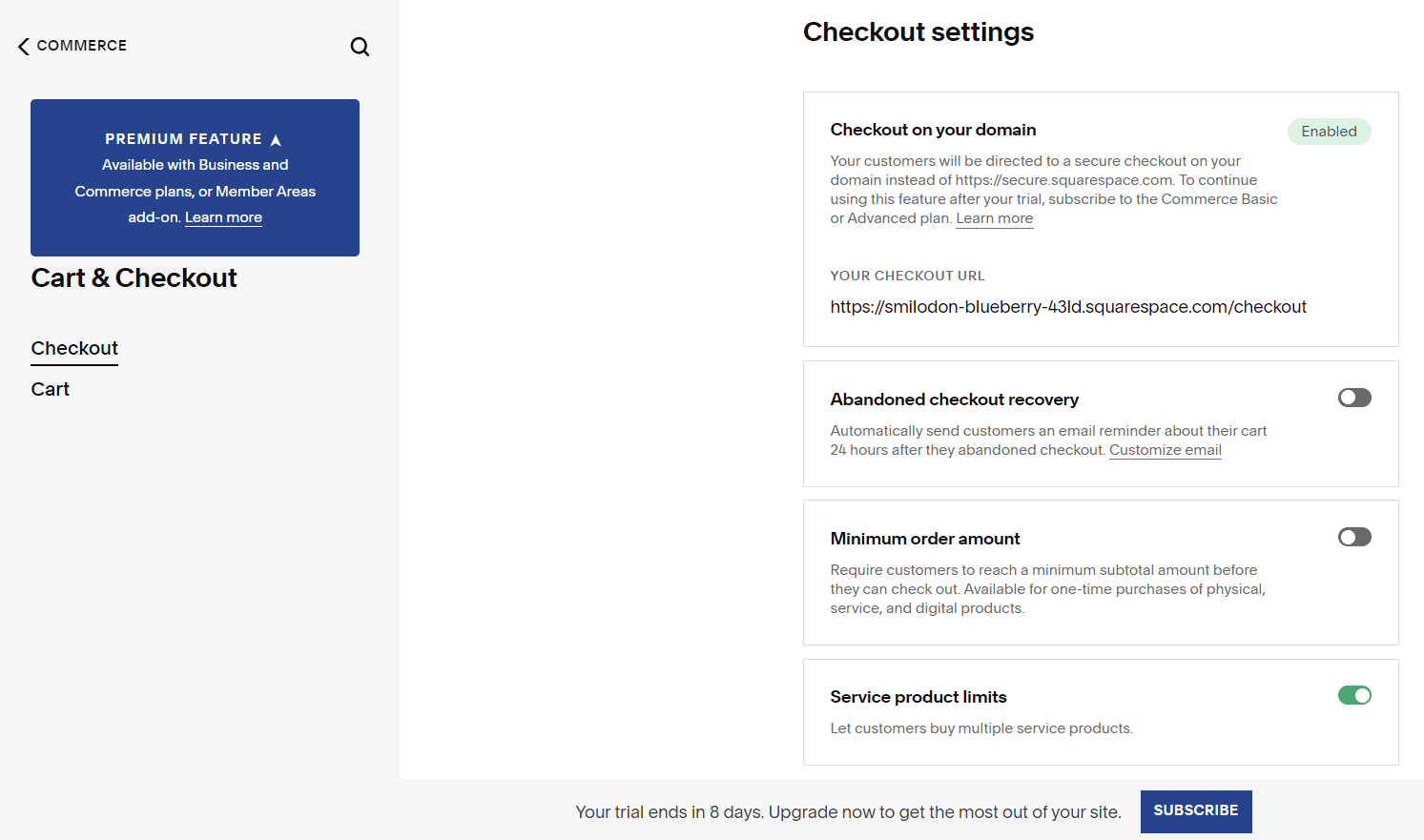 Squarespace cart and checkout settings